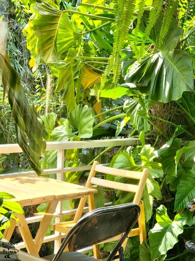 หลง ณ 𝚌𝚘𝚏𝚏𝚎𝚎 𝚋𝚛𝚎𝚊𝚔 🌿☕