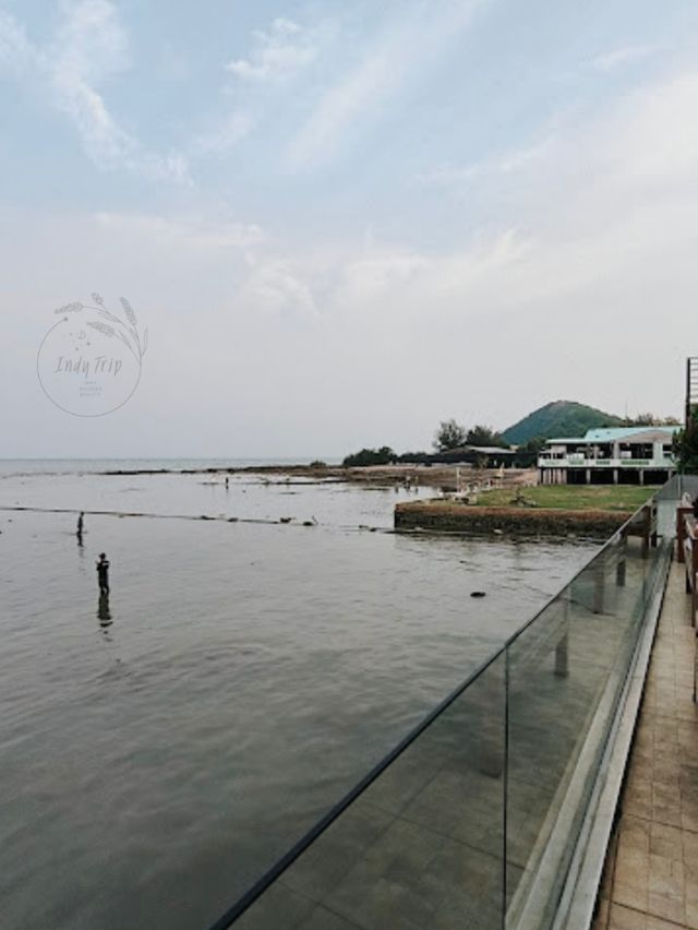 🏖 ทานอาหารชิลๆ รับลมทะเล ครัวแสมสารซีฟู๊ด