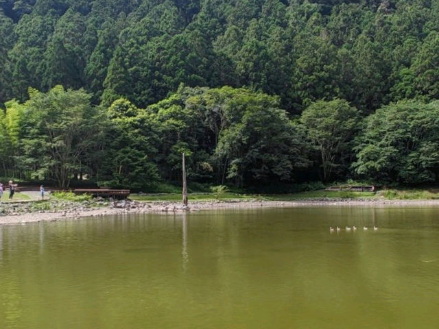 #明池國家森林遊樂區-宜蘭縣大同鄉