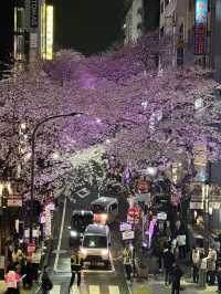 東京賞櫻攻略：中目黑、澀谷、中野、芝公園，一次蒐集所有粉嫩美景！🌸