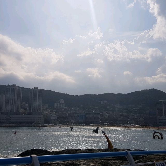 부산 여행 필수 코스 '부산 송도 케이블카'
