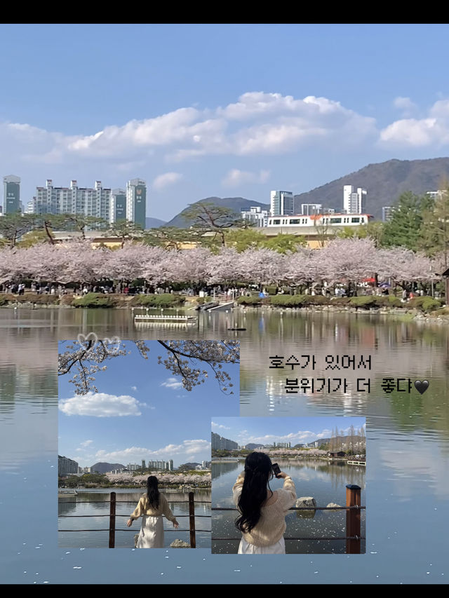 김해연지공원 다녀왔습니다🎶
