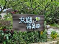 🌸** 浪漫櫻花的隱秘樂園**🌸
