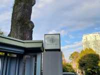[🇯🇵東京] 八芳園で感じる日本の美と歴史