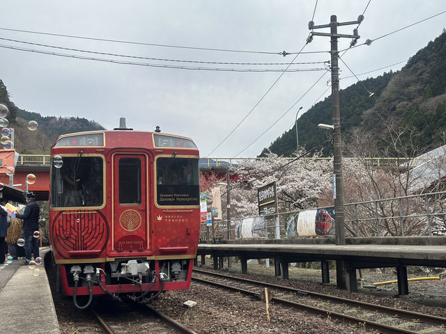 日本三好市-櫻花祭裡最美的車站「大步危車站」，體驗無人秘境