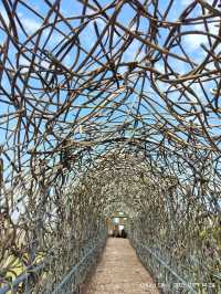 สวนสาธารณะสวย Song of the forest Chiayi 