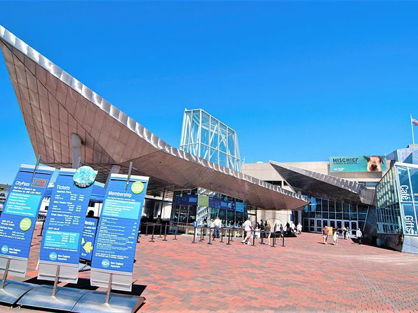 波士頓新英格蘭水族館