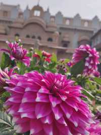#拉克西米維拉斯皇宮飯店（Laxmi Vilas Palace）印度巴拉特普爾