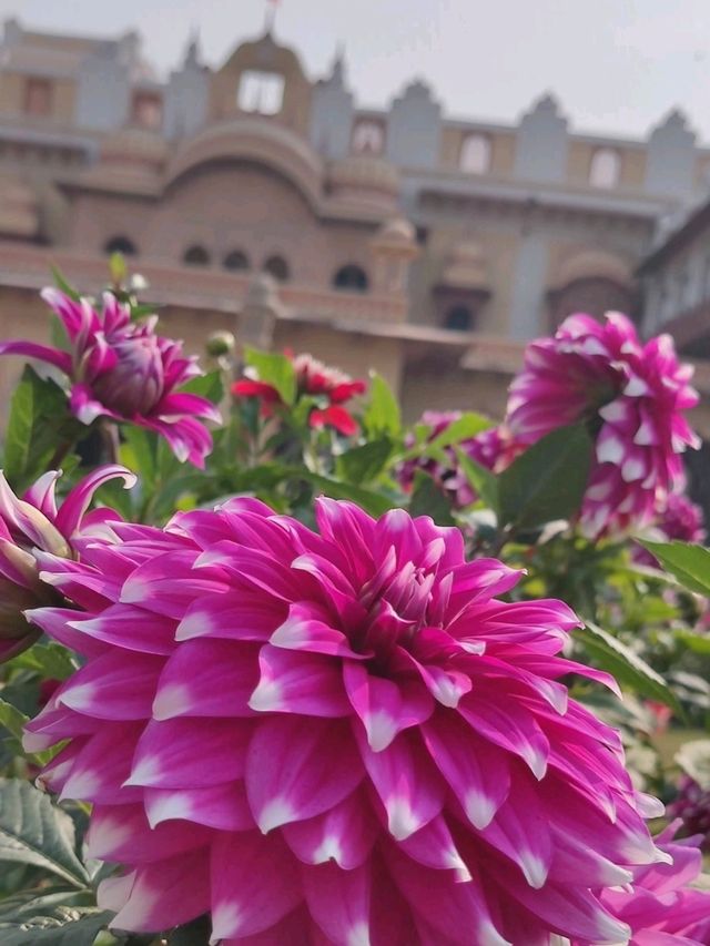 #拉克西米維拉斯皇宮飯店（Laxmi Vilas Palace）印度巴拉特普爾