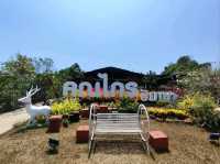 ผัดไทยร้านเด็ด ร้านอาหารดังเมืองระยอง
