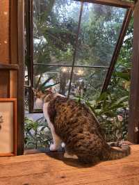 Murmur Baker คาเฟ่ขอนแก่น