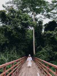 น้ำตกสวยใกล้ฉัน🌿