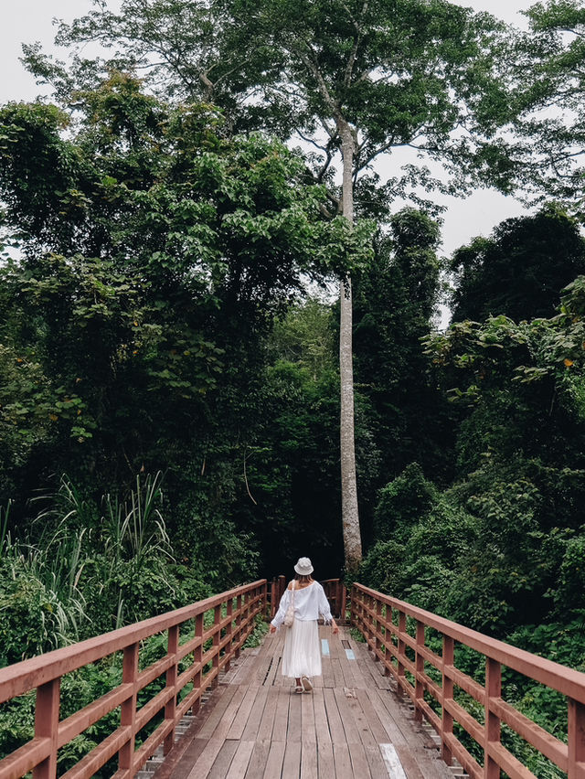 น้ำตกสวยใกล้ฉัน🌿