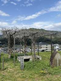 日本四國