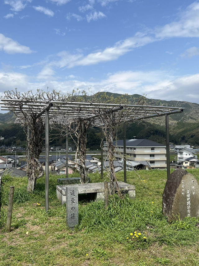 日本四國