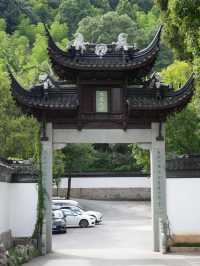 Golden Ginkgo and Ancient Walls