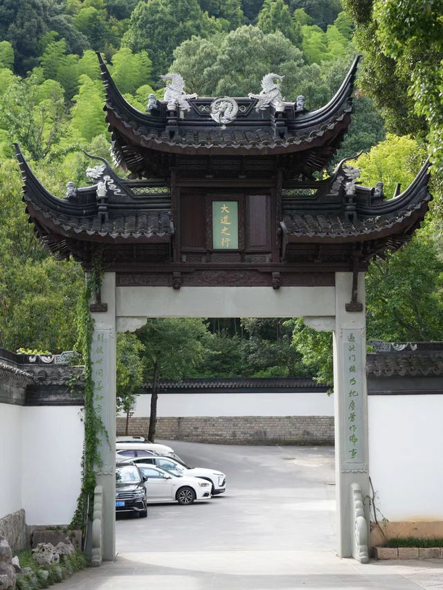 Golden Ginkgo and Ancient Walls