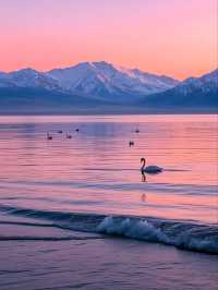 Sayram Lake: A Tranquil Gem Beneath the Tianshan Mountains