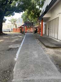 【福岡県博多🇯🇵若宮神社】海上安全、土地の守り神☺️