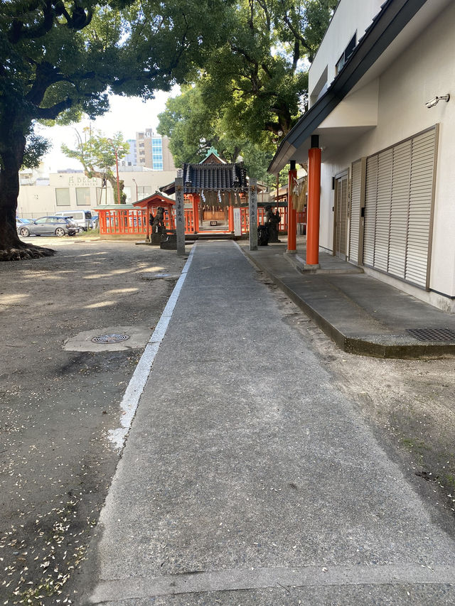 【福岡県博多🇯🇵若宮神社】海上安全、土地の守り神☺️