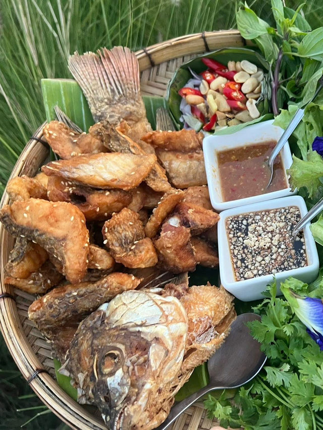 ครัวออโรรา Aurora Kwan Phayao