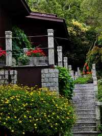🌸 Spring Garden Kundasang – A Floral Escape in Sabah’s Highlands