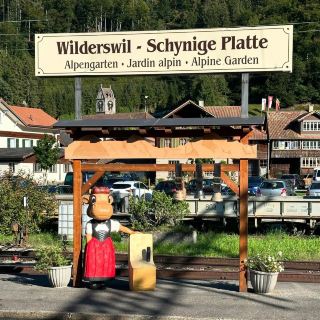 Journey to Schynige Platte: A Vintage Railway & Alpine Wonderland in Switzerland’s Bernese Highlands