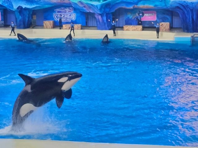 榮獲2大獎項的全球最大室內的樂園：飛船樂園