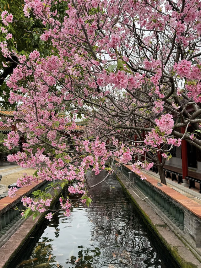 Baomo Garden: A Lingnan Masterpiece of History and Harmony