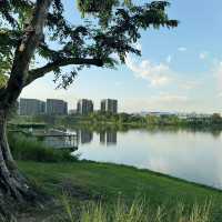 Nature’s Hidden Gem: A Stroll Through Jurong Lake Gardens 🇸🇬