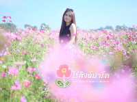 หน้าหนาวไปชมดอกไม้ "ไร่สิงห์ปาร์ค เชียงราย"🌸