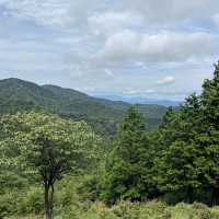 🌲【木梶山】⛰️ まつさかイレブン