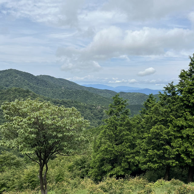🌲【木梶山】⛰️ まつさかイレブン