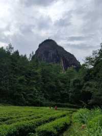 武夷山風景區-走到腿兒會發抖的虎嘯岩+大王峰