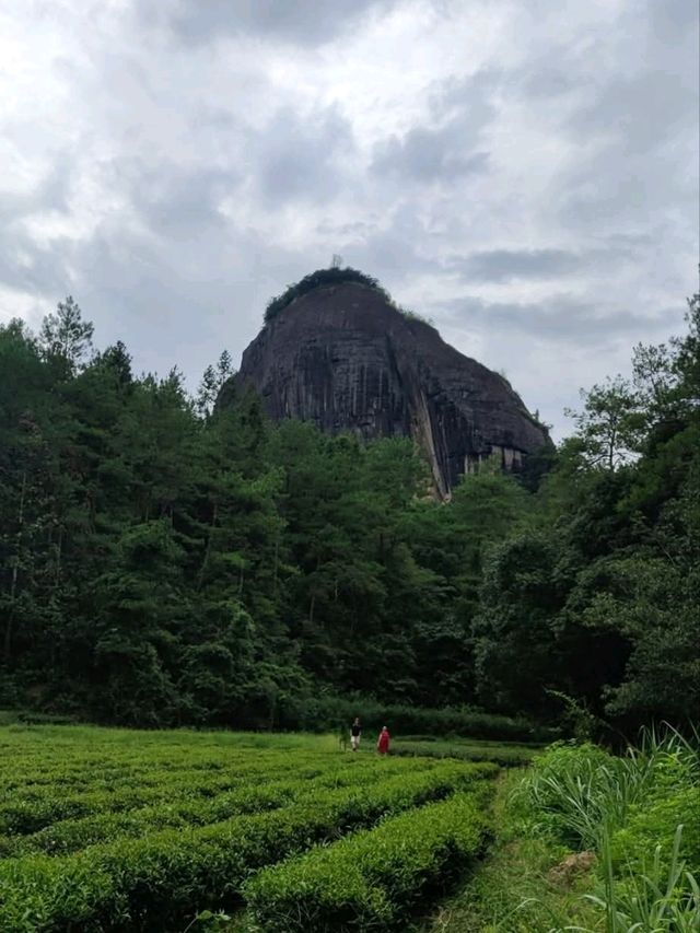 武夷山風景區-走到腿兒會發抖的虎嘯岩+大王峰