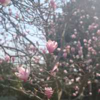 West Lake – Hangzhou, Zhejiang