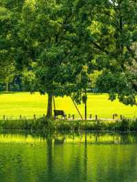 “Twin Blossoms of the Jiangnan Spring: Suzhou & Hangzhou in Bloom”