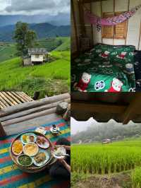 ที่พักบ้านป่าบงเปียง จ.เชียงใหม่ 🏡⛰️🌦️🌾