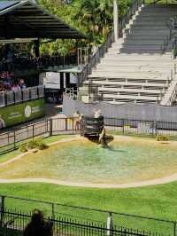 [オーストラリア観光] オーストラリア動物園 in QLD