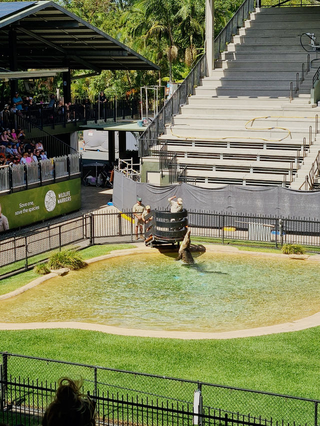 [オーストラリア観光] オーストラリア動物園 in QLD