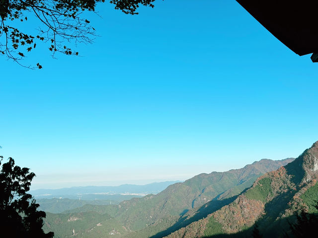 【埼玉⛩️秩父】一度は訪れたい！日本屈指のパワースポット