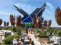🚢 Celebrity EDGE Review: A Sophisticated, Adults-Focused Floating Oasis 🌊✨