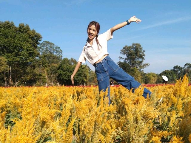 สุวรรณฟาร์ม @ร้อยเอ็ด