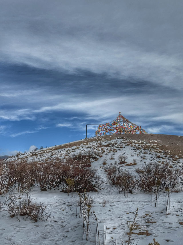 Breathing the Sky: A Calm Escape to Yak Meadow (牦牛坪) on Jade Dragon Snow Mountain