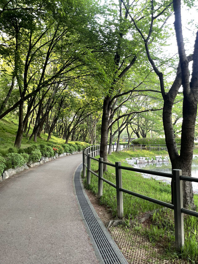 날씨좋은날엔 다같이 용산가족공원으로 피크닉을 떠나보세요! 