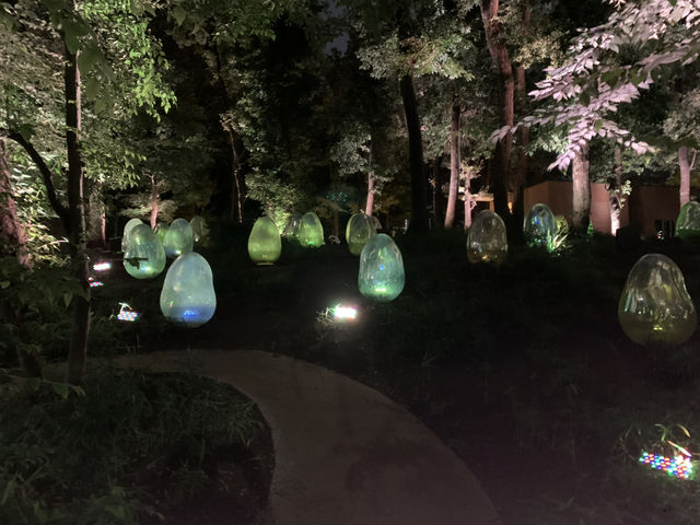 幻想的✨卵たち