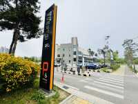Discover Baedari’s Book Haven