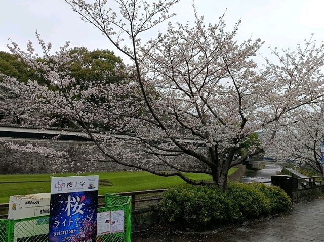 熊本小旅行 車站樓上的JA合作食堂超推