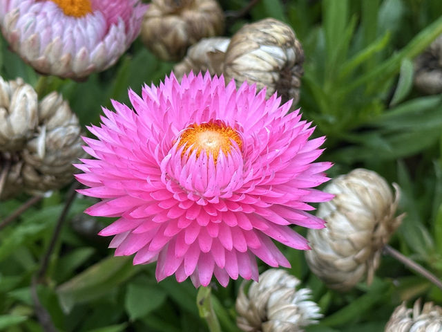 香港好去處 | 金鐘 | 添馬公園舞動水滴展