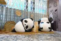 熊貓玩轉 618 上海街🐼